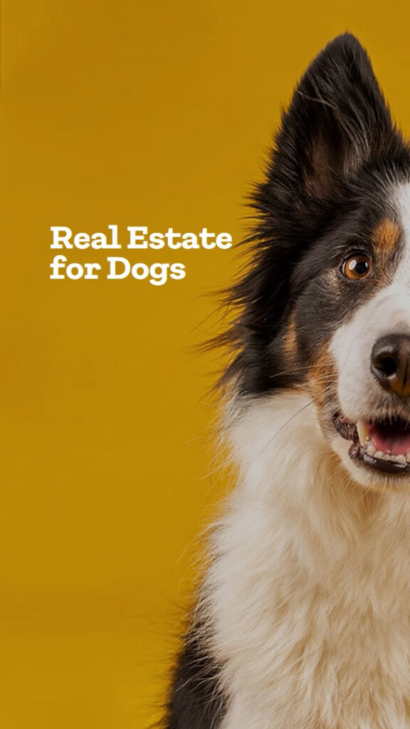 Real Estate For Dogs Needs Your Help