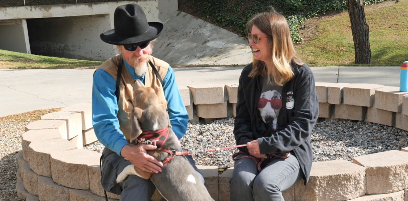 Dog Adopt Show with Andrew Ledford Episode 4 Basset Hounds Rescue