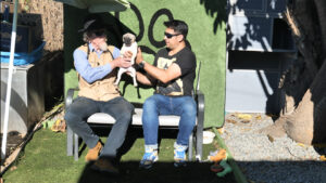 Lories Angels Animal Rescue